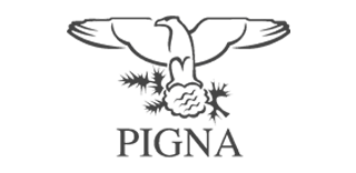 Pigna