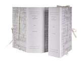 Cartella archivio dorso 8