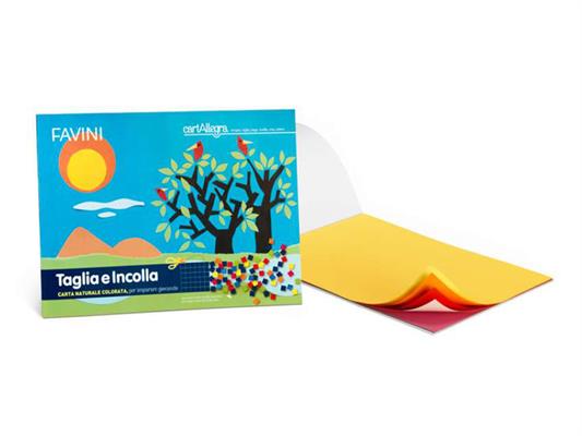 Album Taglia e Incolla 24x33 80gr. Lucido 10 fogli