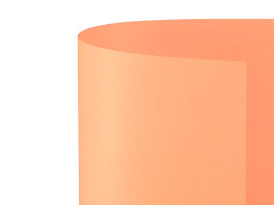 Bristol Liscio/Ruvido 50x70 Salmone  20pz.