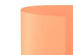 Bristol Liscio/Ruvido 50x70 Salmone  20pz.