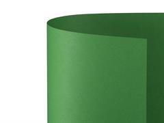 Bristol Liscio/Ruvido 35x50 - Verde
