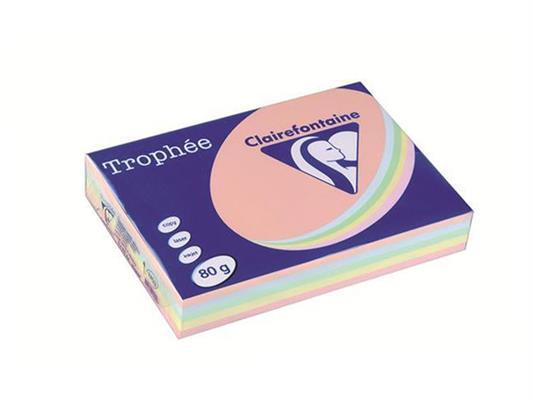 Carta A4 Mix Colori Tenui 80gr. 500 fogli