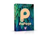 Carta A4 Papago Grigio 80gr. 500 fogli