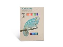Gessi Policromi 24 colori