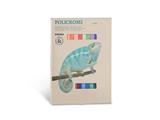 Gessi Policromi 24 colori