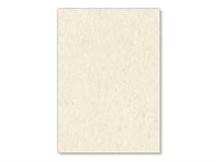 Pergamena avorio 160 g. 16,5x23,3 12 pz.