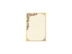 Pergamena Small 16,5x23,3 160gr. 12pz.
