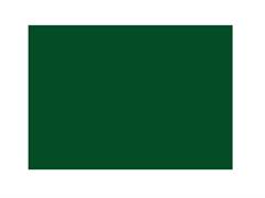 Bristol Fabriano Liscio/Ruvido 50x70 - Verde