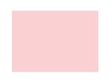 Bristol Fabriano Liscio/Ruvido 50x70 - Rosa