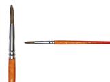 Pennello serie 700-8
