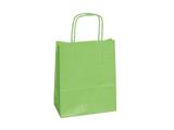 Busta 22x10x29 25pz - Verde mela