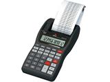 Calcolatrice Summa 301