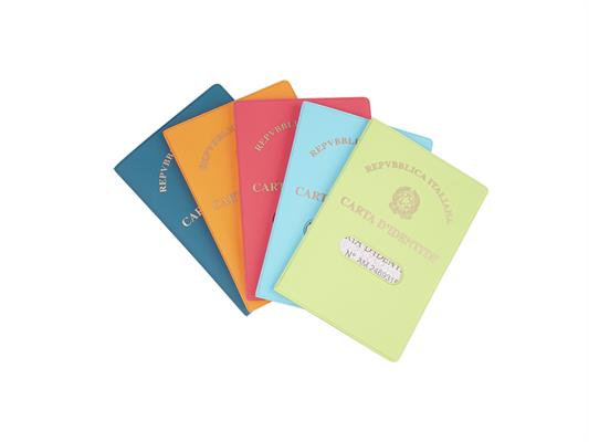 Porta carta d'identità  Colour Tam 24 pz.