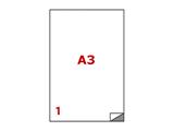Etichette A3 C599 297x420 100 fogli 