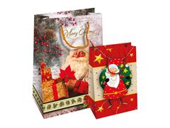 Blister 10 shoppers 25x12x35 Babbo Natale