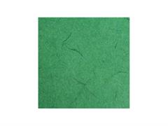 Carta di gelso 70x100 25gr. - Verde pino