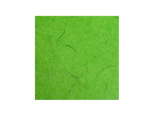 Carta gelso 70x100 - Verde