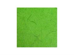 Carta gelso 70x100 - Verde