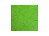 Carta gelso 70x100 - Verde