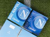 Custodia A4 anelli SSC Napoli