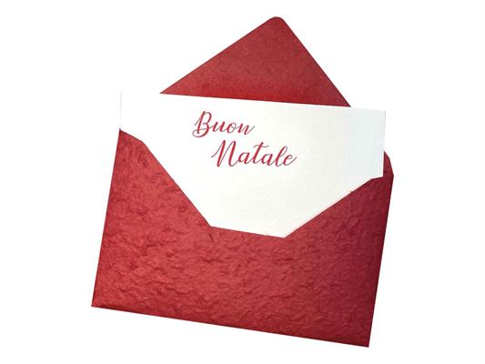 Biglietto kozo a busta Natale + inserto 36pz.