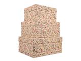 Set scatole grandi 3pz. - Decoration branch