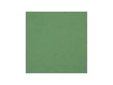 Carta riso Marabù 47x64 10 fogli - Verde