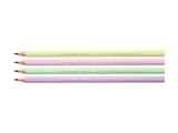 Matita Bic Evolution pastel 12pz.