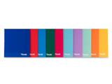 Custodia A5 4 anelli colori assortiti