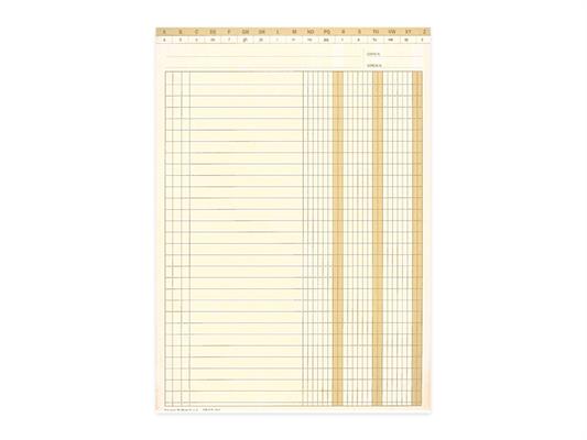 Schede 3 colonne 24x17 100pz