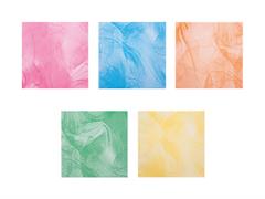 Buste in PNP Veneziano 20x35 100pz - Assortiti