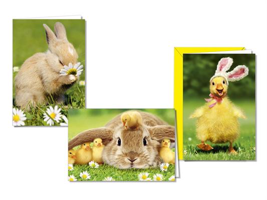 Biglietto Buona Pasqua fotografico