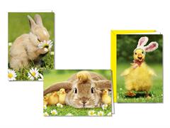 Biglietto Buona Pasqua fotografico