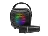 Cassa wireless con microfono Bontempi