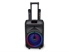Cassa trolley luce RGB wireless 2 microfoni