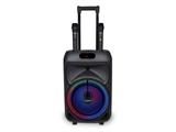Cassa trolley luce RGB wireless 2 microfoni