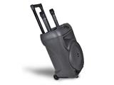 Cassa trolley luce RGB wireless 2 microfoni