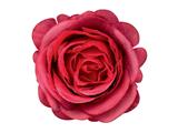 Penna a sfera Flexi Red Roses 16pz