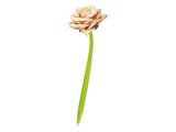 Penna a sfera Roses 16pz