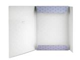 Cartella A4 con elastico dorso 1cm Coccolotti by Colourbook - Classic