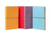 ESP.AGENDE GIORN. 9x13 CIAK TREND 2026 PZ.12*