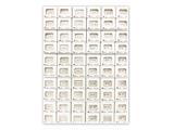 Espositore orecchini 60pz assortiti