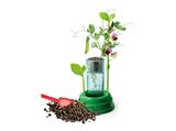 Botanica & Idrocoltura Clementoni
