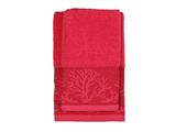 Set spugna Jacquard 2pz - Rosso