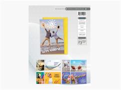 Biglietti Augurali Pensione – Blue World Paper Linea Original – 48 pezzi assortiti