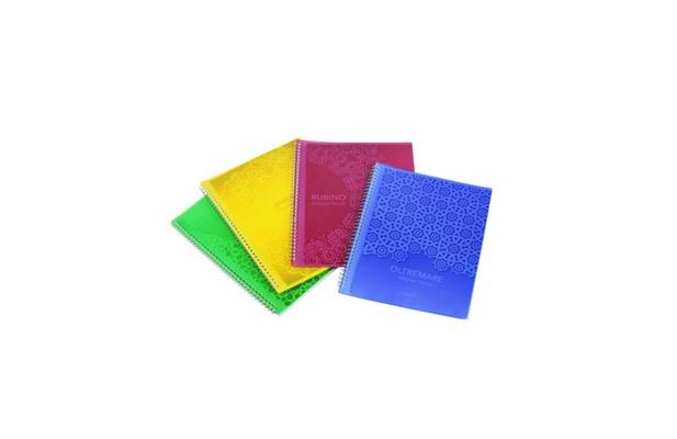 P/LISTINO FANTASIA C/SPIRALE 22x30 FG.10*