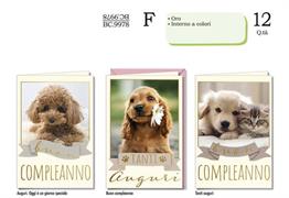 BIGL. COMPLEANNO CUCCIOLI*