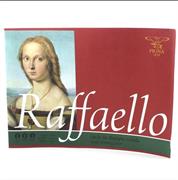 ALBUM RAFFAELLO 24x33 RUVIDO FG.10