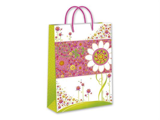 SHOPPERS FEMMINILE 22x18x10 PZ.6*